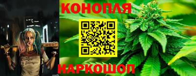 твердый Будённовск