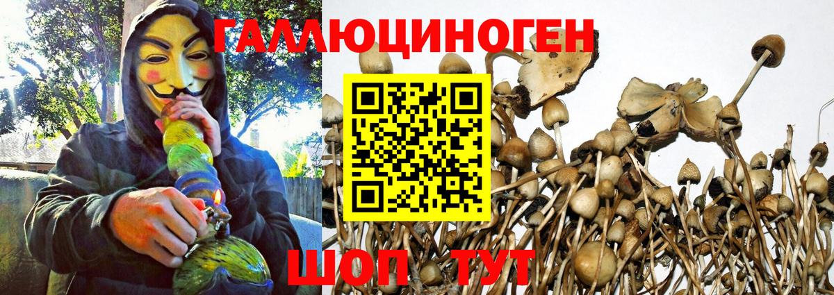 Псилоцибиновые грибы Magic Shrooms  Псилоцибиновые грибы ЛСД  Вход с VPN  купить   Междуреченск 