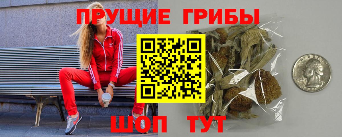 Псилоцибиновые грибы мухоморы Междуреченск